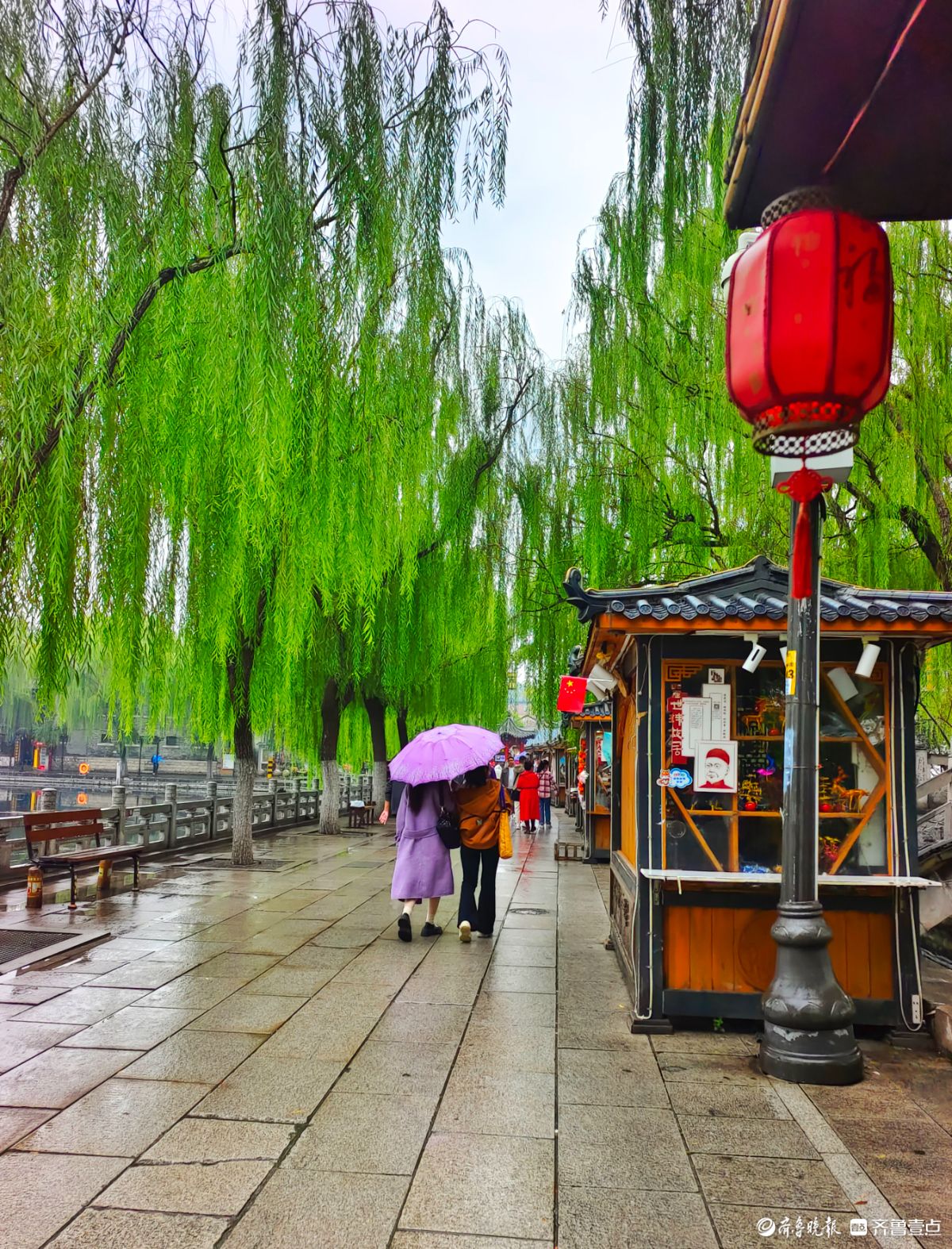 秋风细雨中，大明湖景色靓丽迷人