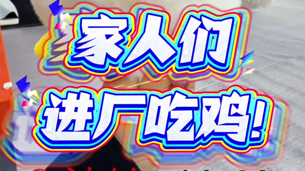 奔赴枣庄的理由找到了！第九届辣子鸡美食文化消费季喊你进厂吃鸡