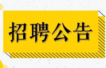 泰安技师学院公开招聘20人！本科可报，10月20日起报名