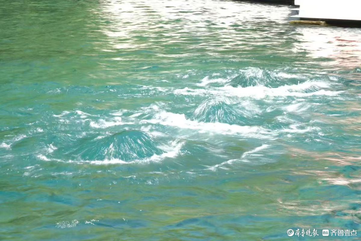 趵突腾空，众泉涌流