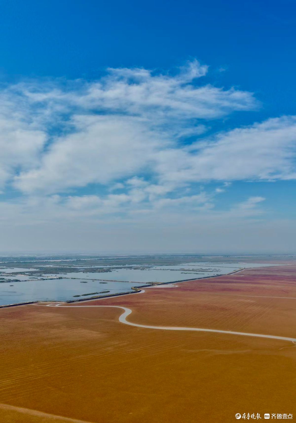 黄河三角洲的红滩湿地