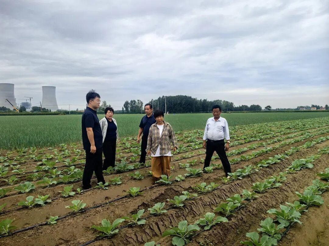 菏泽郓城：丁里长街道丁东村以农业适度规模经营激活增收新动能
