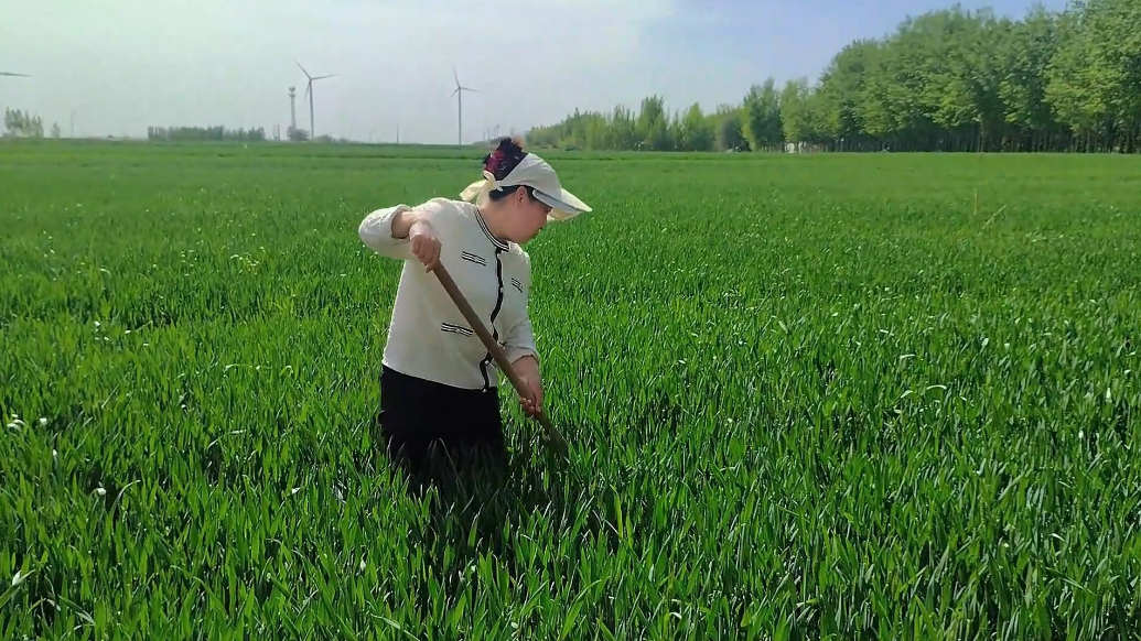 孝声传齐鲁|德州平原县贺同英：孝心温暖日常 良善托举幸福