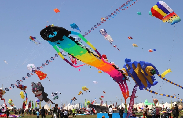 Weifang's kites soar across the world's skies