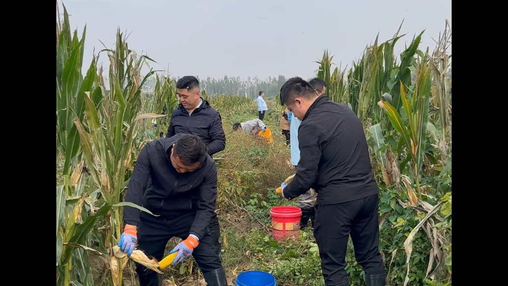 果然视频丨阴雨连绵秋收遇阻 山东民生产业运营集团助农抢收