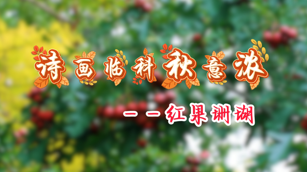 果然视频丨奋斗的青春与成长的回甘！诗画临科秋意浓之红果珊瑚