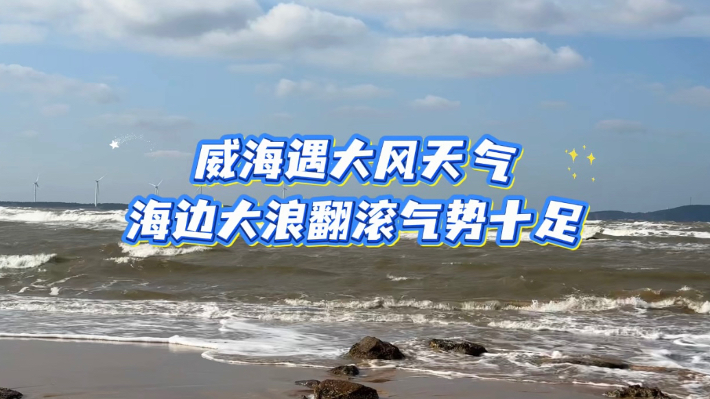 果然视频丨威海遇大风天气，海边大浪翻滚气势十足