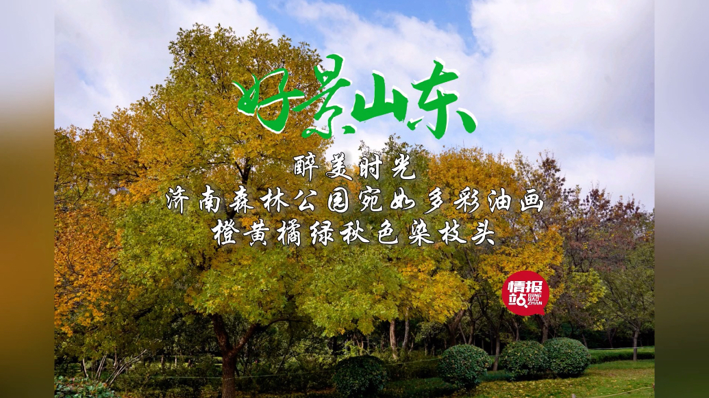 果然视频·好景山东|济南森林公园宛若多彩油画，浓浓秋色染枝头
