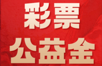 【益路花开】厚植向上向善底色 传递烟台城市温度
