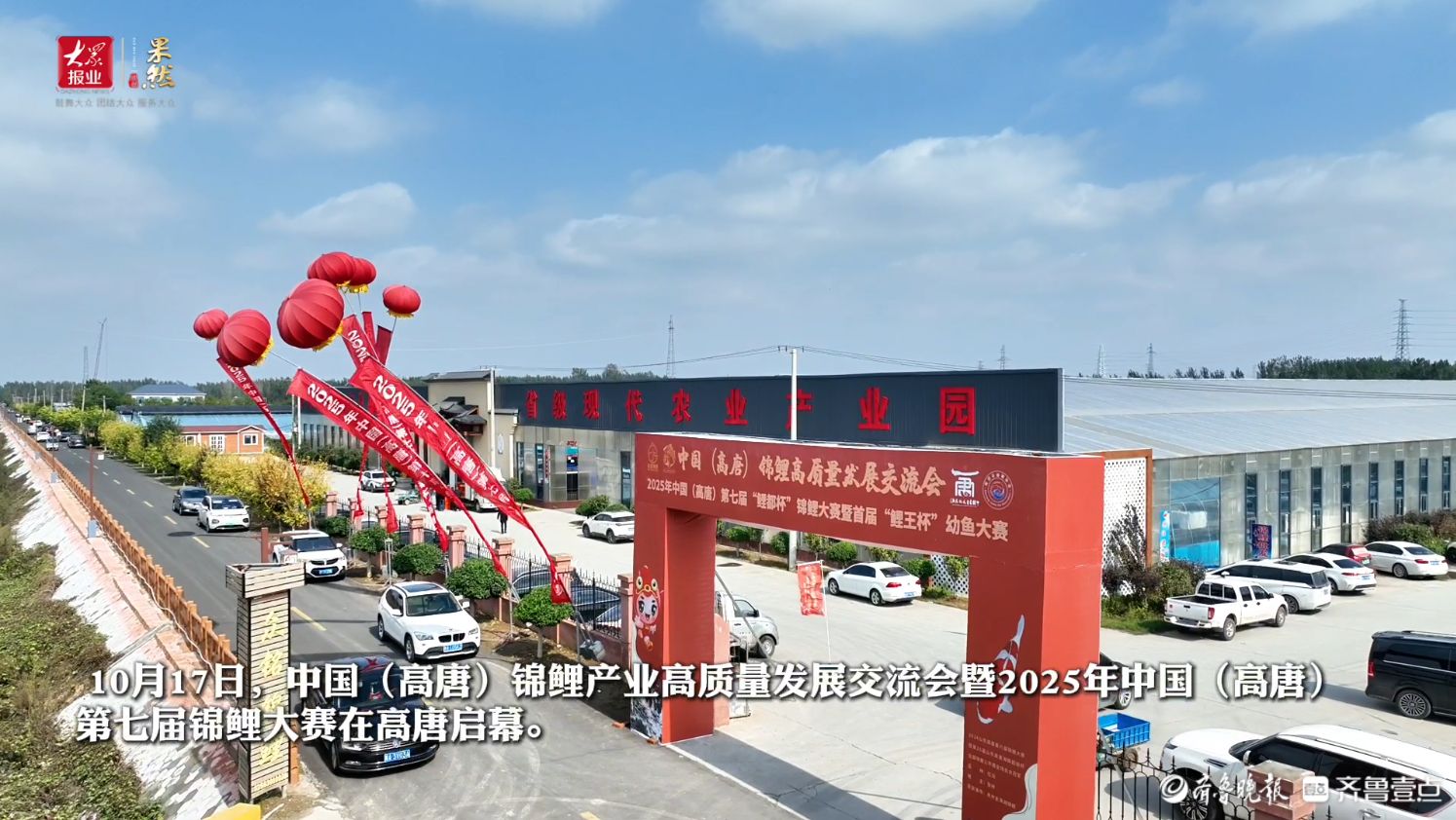 2025年中国（高唐）第七届锦鲤大赛在高唐启幕