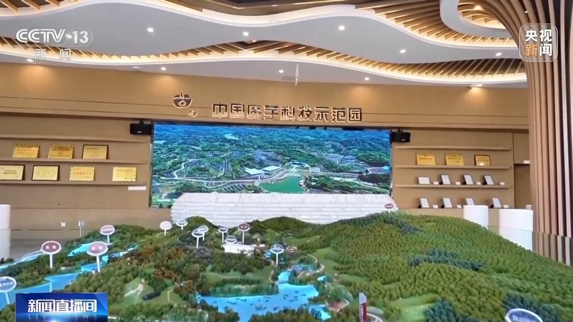 图片加载失败