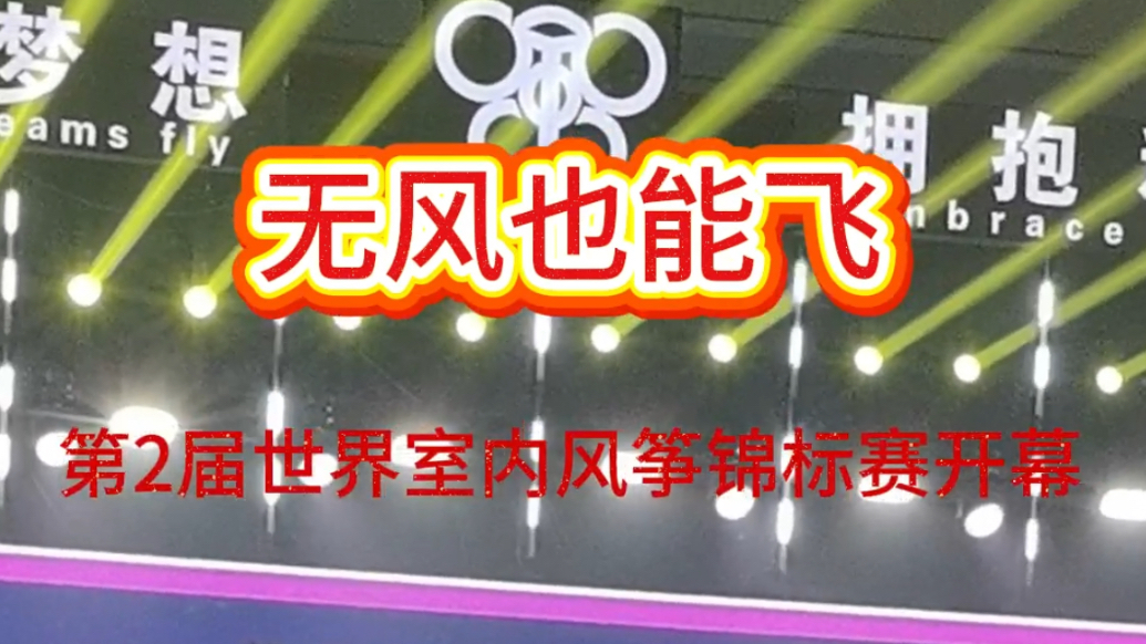 果然视频|无风也能飞！第2届世界室内风筝锦标赛开幕