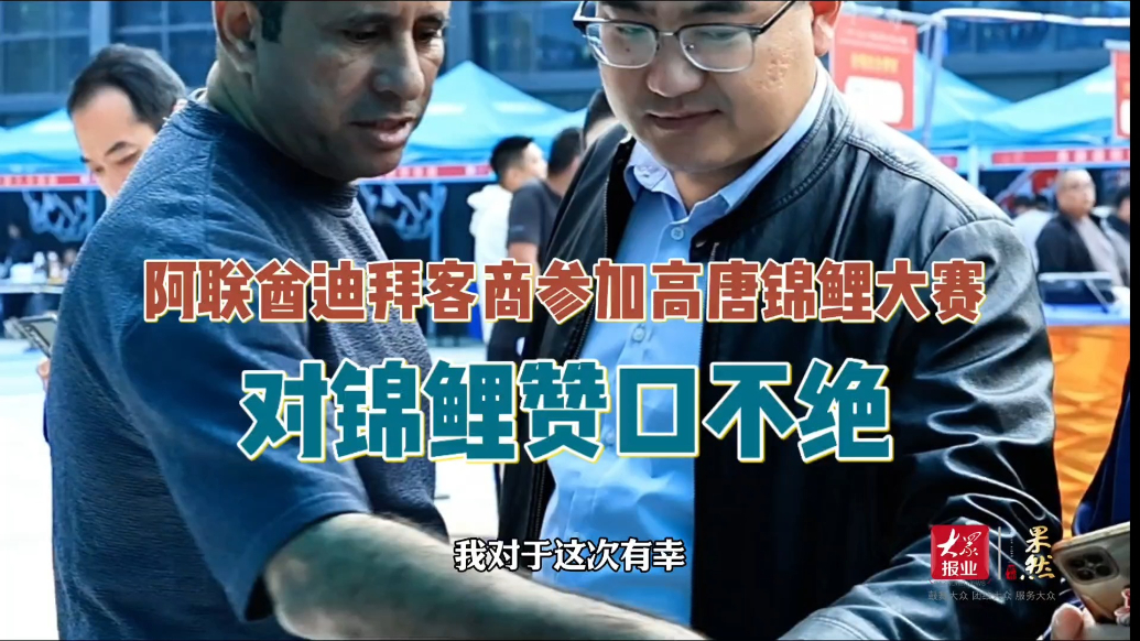 阿联酋迪拜客商参加高唐锦鲤大赛，对锦鲤赞口不绝