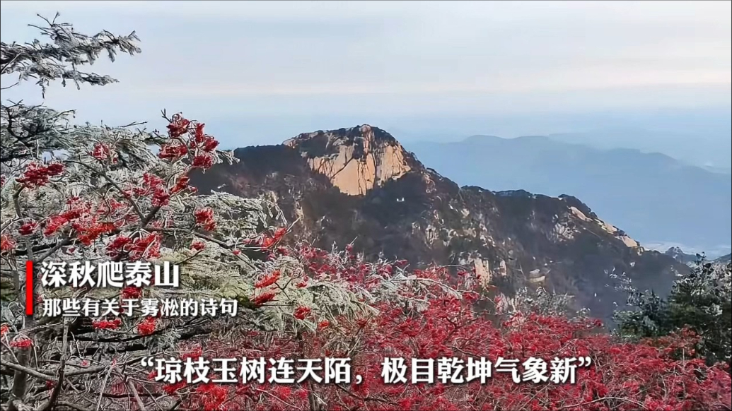 果然视频丨深秋爬泰山看雾凇美景，一起来欣赏那些关于雾凇的诗句