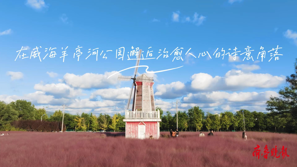 果然视频丨粉黛如云，在威海羊亭河公园邂逅治愈人心的诗意角落