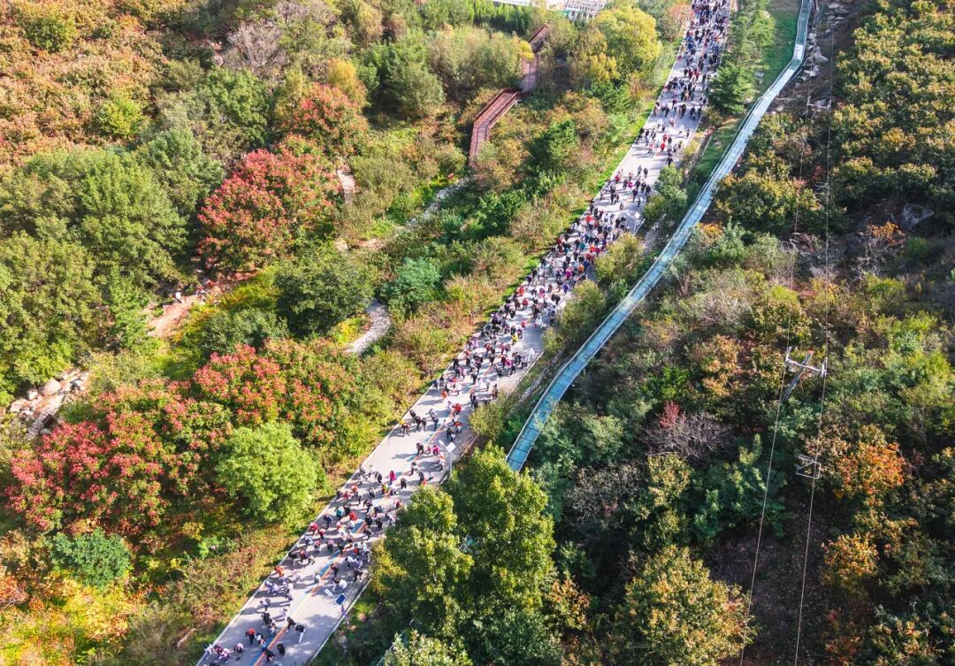 “好运山东”临沂市“走遍蒙山沂水”万人登山拾秋活动举行