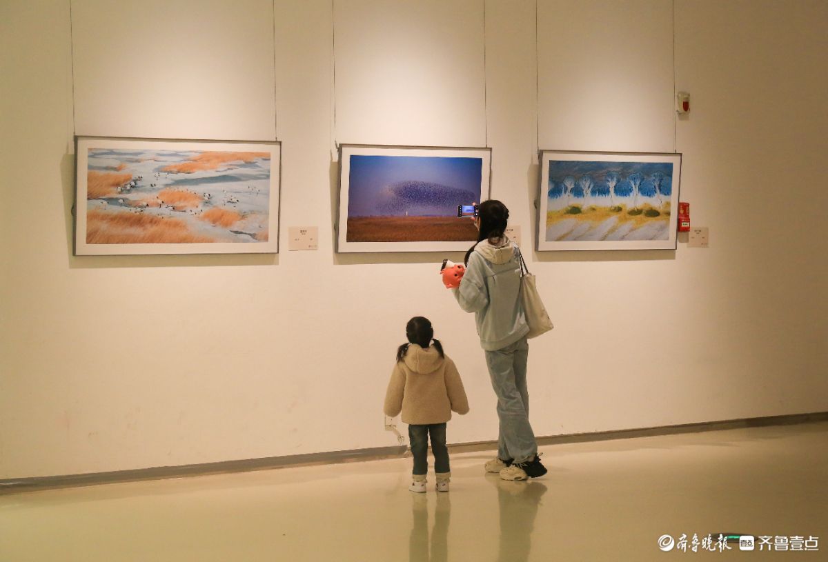 来山东美术馆，聆听《大地的回声》
