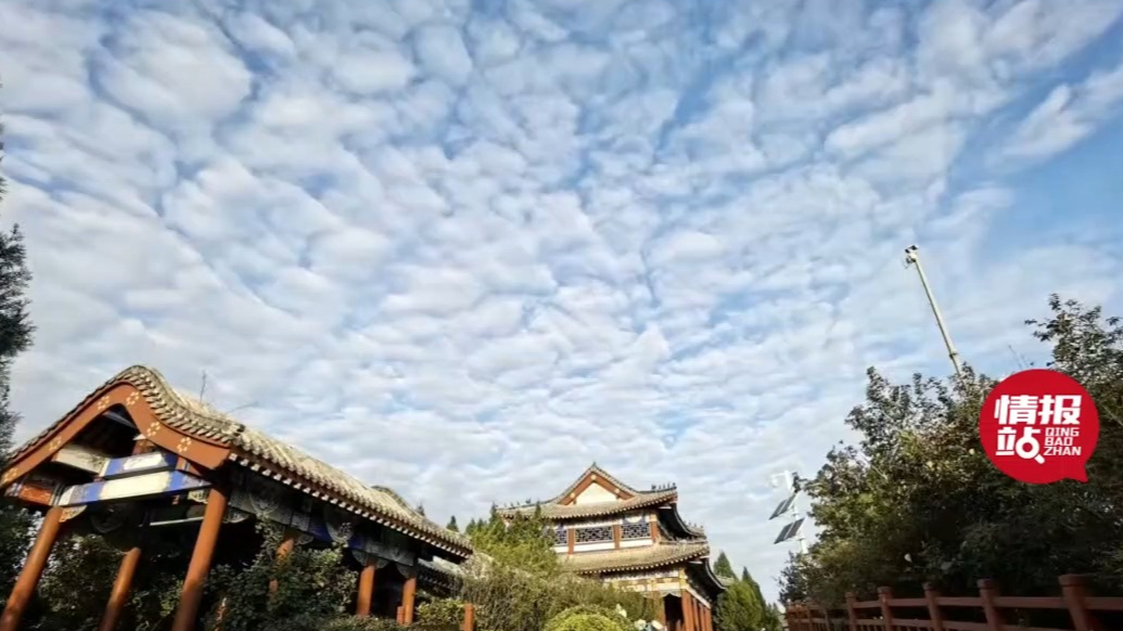 天气情报站|山东多地治愈系蓝天白云上线，秋高气爽云卷云舒
