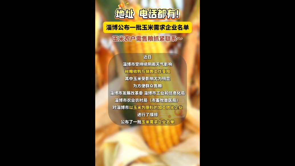淄博公布一批玉米需求企业名单！记者致电，企业回应：一直在收着