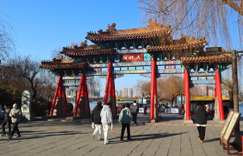 大明湖里住着只“绿毛龟”