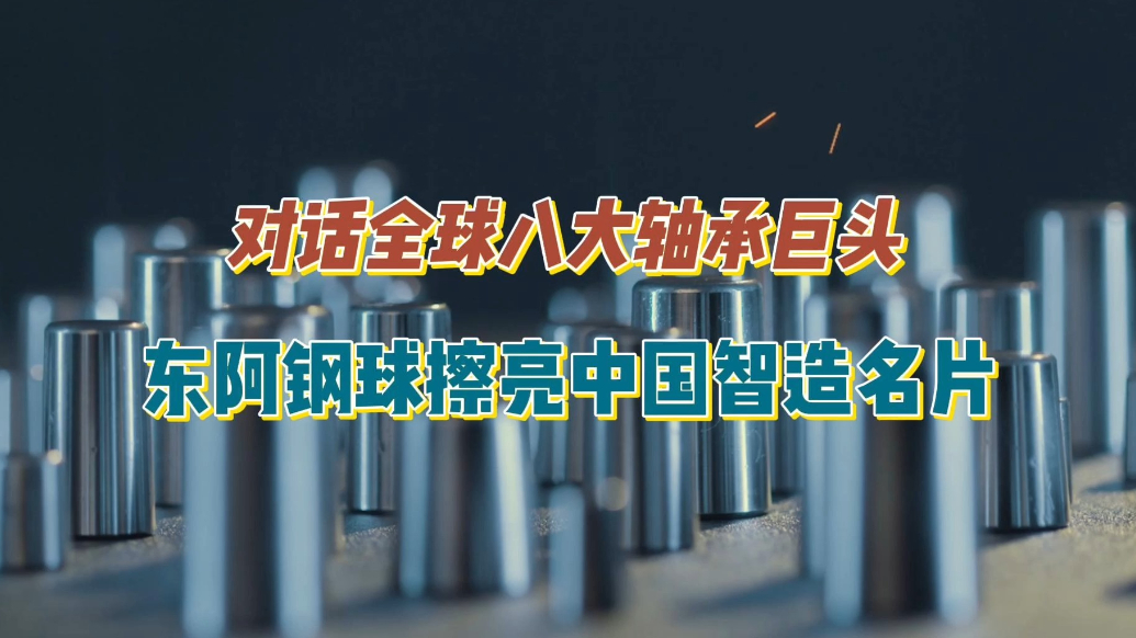 聊城智汇 链接全球丨对话全球八大轴承巨头，东阿钢球走向世界