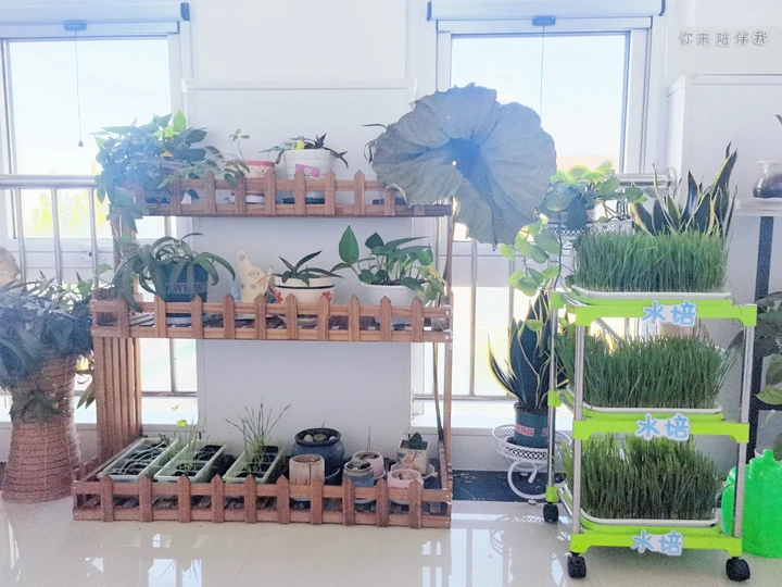 东营市河口区湖滨新区幼儿园开展秋季园所环创评比活动