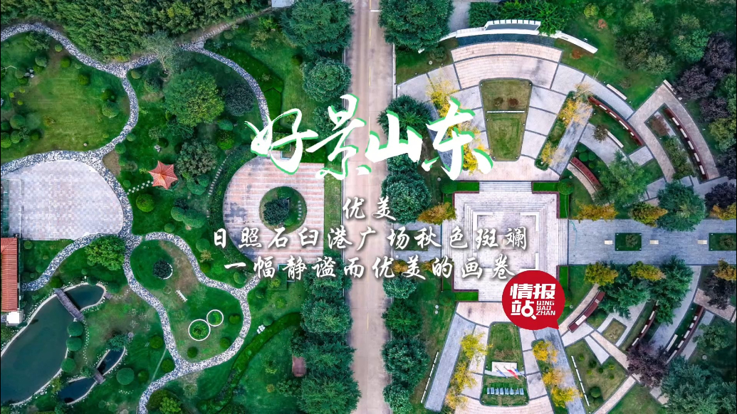 果然视频·好景山东|日照石臼港广场秋色斑斓，一幅静谧的画卷！