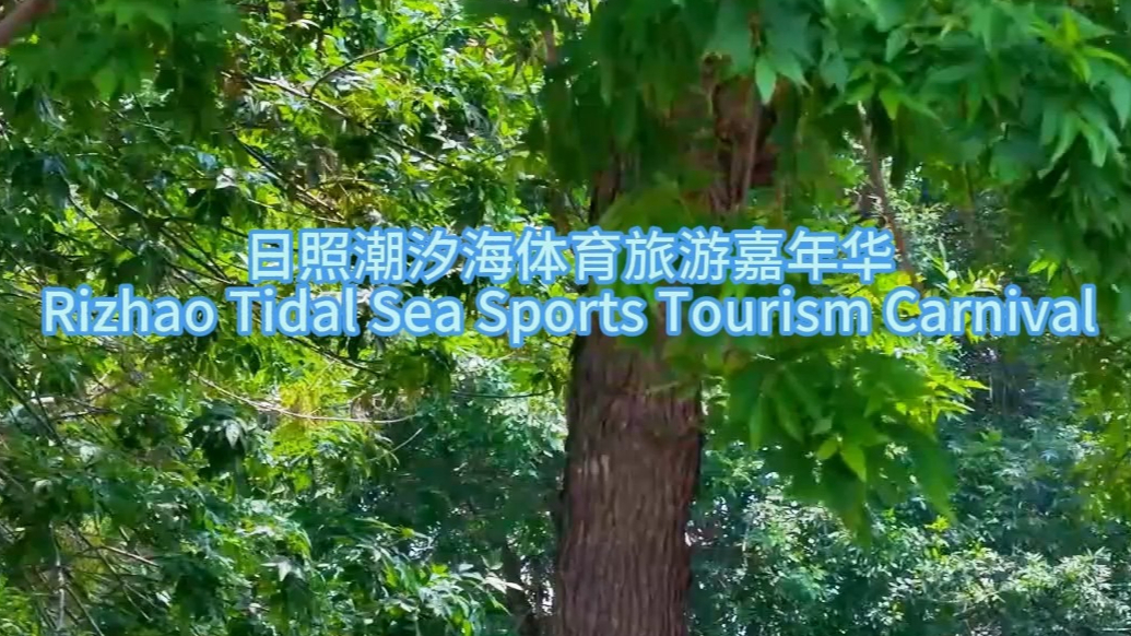 果然视频丨日照潮汐海体育旅游嘉年华