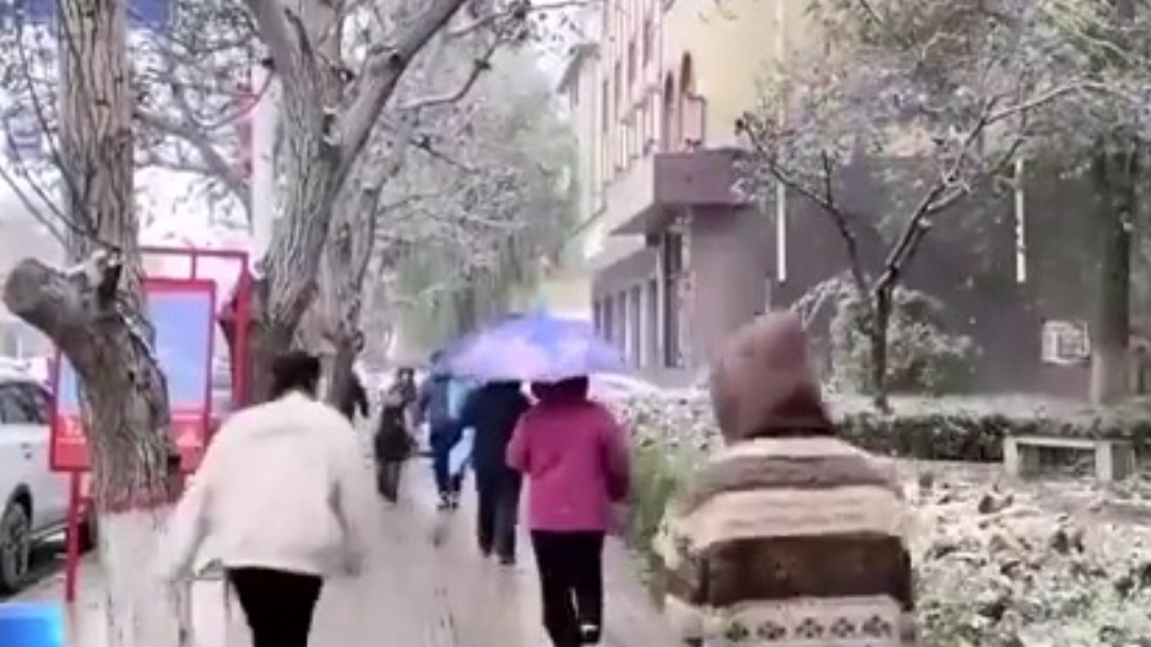 河北涞源雪花如鹅毛般飘落！今天河北这些地方还将有降雪