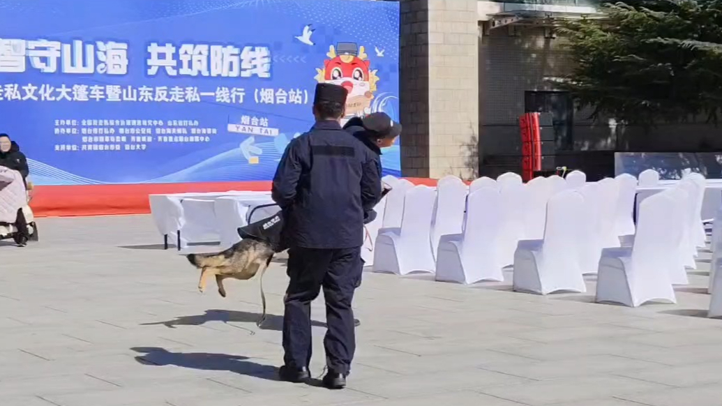 果然视频｜缉私犬“汪汪队”亮相，走私濒危物种休想逃过它的鼻子