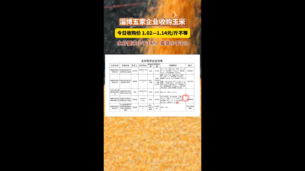 淄博五家企业收购玉米，今日收购价格看这里→