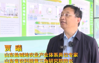 盐碱地大会释放产业新信号，黄三角研发成果加速走向全国
