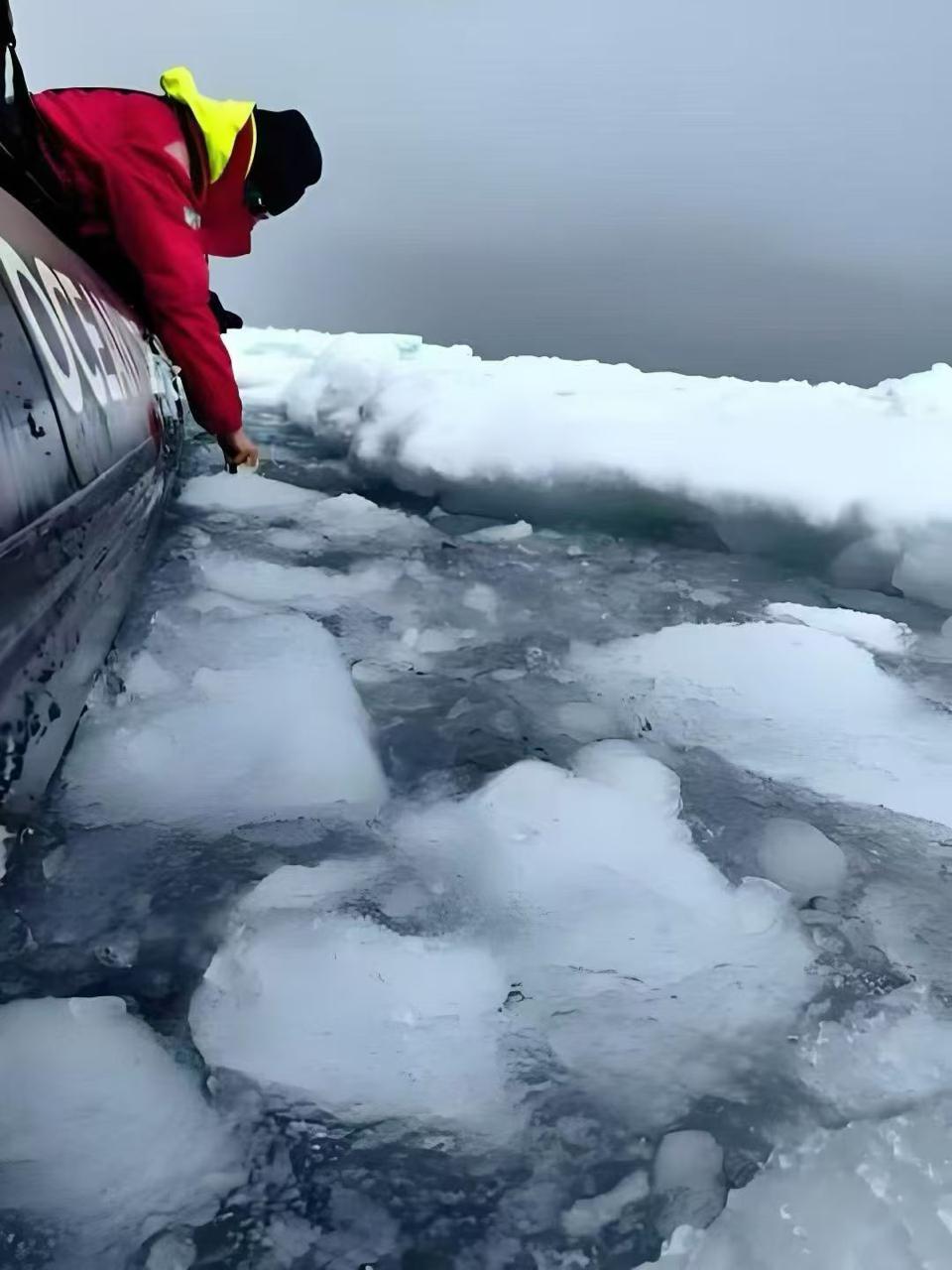 南极旅游价格大跳水！5万元游南极掀热议，多家旅行社回应