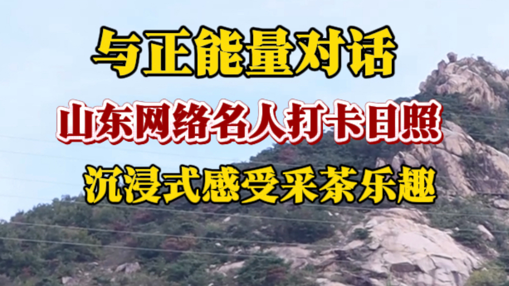 果然视频丨山东网络名人打卡日照，在五莲沉浸式感受采茶乐趣