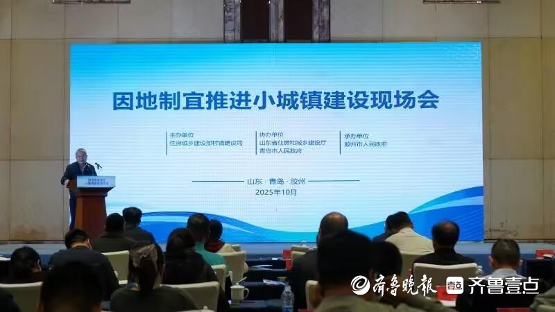 全国因地制宜推进小城镇建设现场会在青岛召开