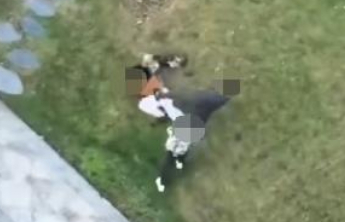 已立案！重庆一女子牵绳遛狗竟遭男子殴打，警方最新通报