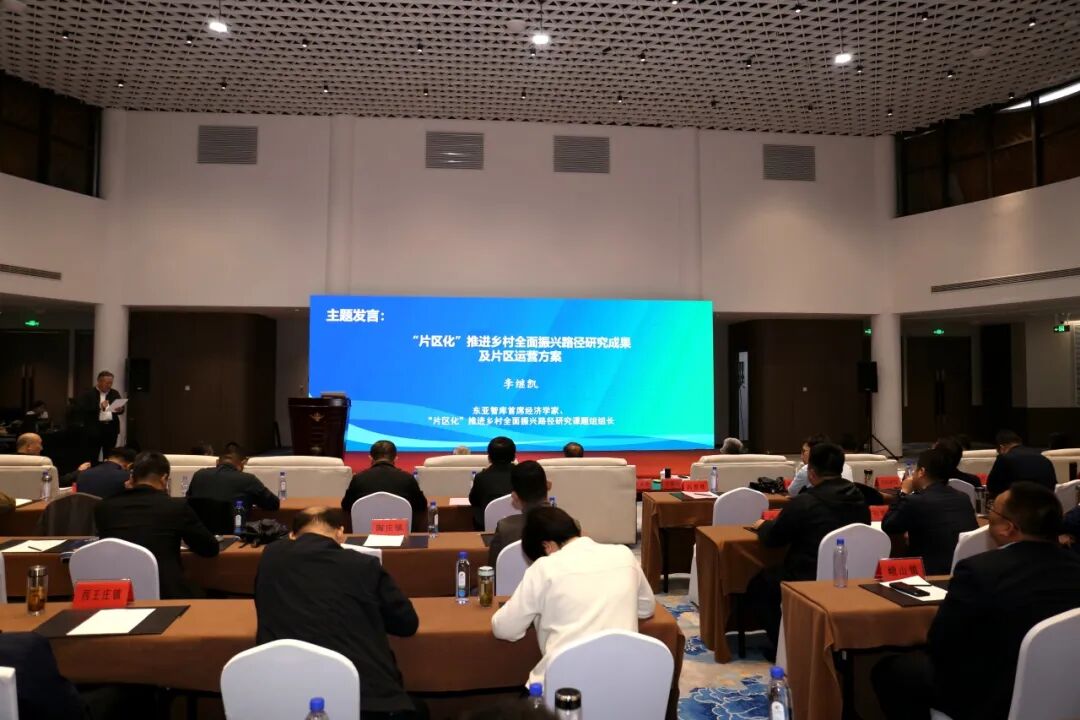 “片区化”推进乡村全面振兴路径研讨会召开