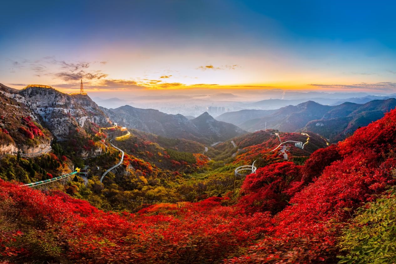淄博红叶进入最佳观赏期，各景区“红叶大战”已开始！