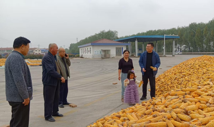 山东省应急管理厅挂职干部：守好 “粮袋子” 护航三秋生产