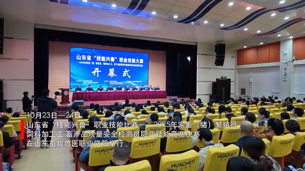 果然视频｜山东省“技能兴鲁”职业技能比赛三项竞赛决赛举行