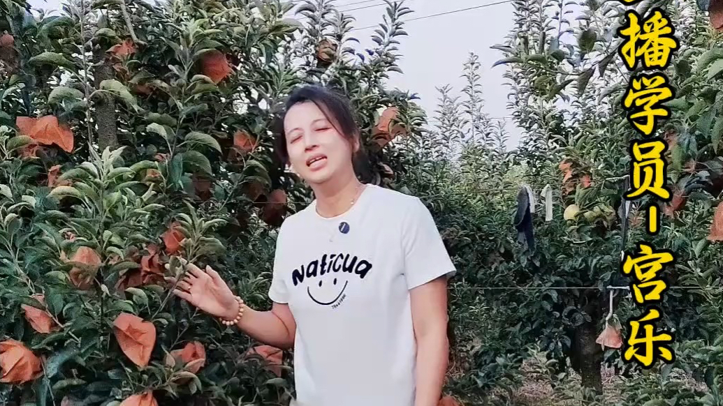 果然视频｜“好货愁卖”到“直播热销”——乳山果农的电商转型记
