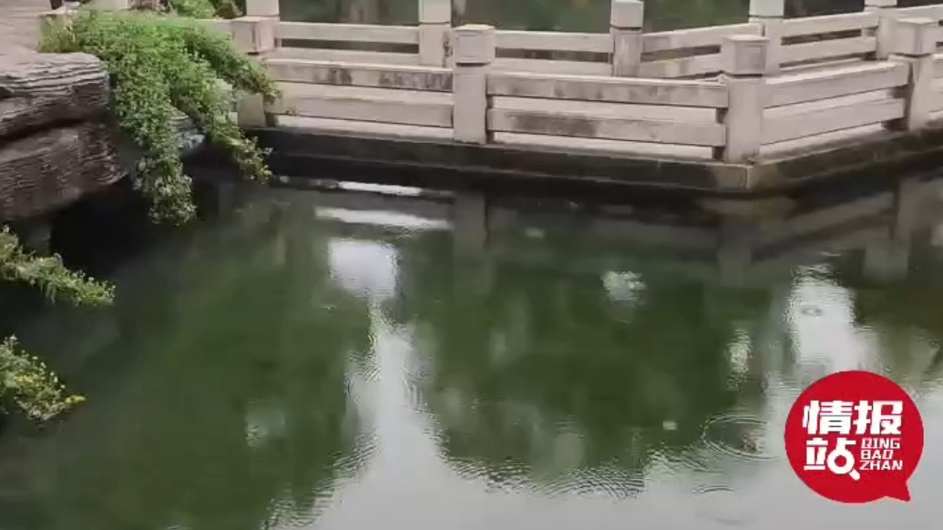 天气情报站|又下雨了！济南周末迎淅沥小雨，备好雨具保暖出行