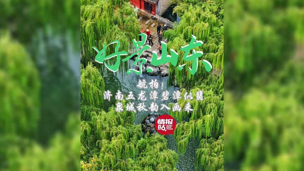 果然视频·好景山东|航拍！济南五龙潭碧潭似翡，泉城秋韵入画来
