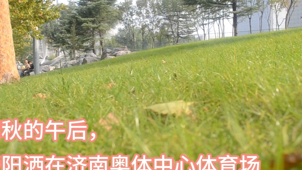 果然视频|10月26日，泰山VS海港，球迷在暖阳下享受足球