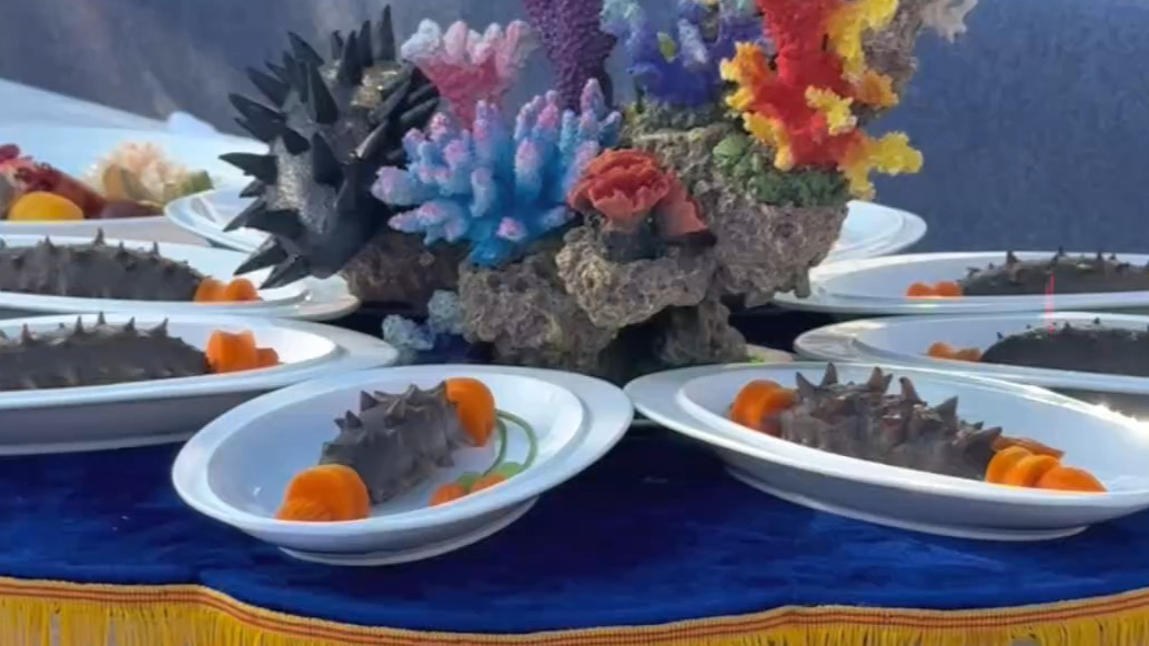果然视频 | 山东海鲜美食争霸赛决赛举行，四地队伍同台竞技