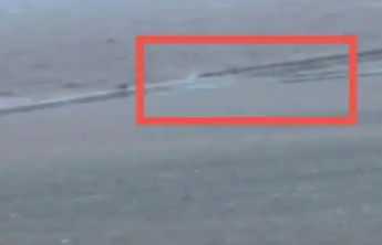 观光车遭强风冲击落水致4人遇难，景区安全岂能靠生命提醒