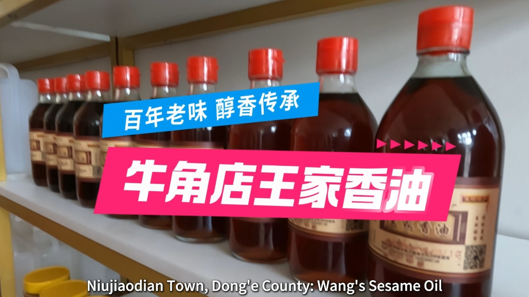 Ramble Shandong漫步山东|东阿县牛角店镇：牛角店王家香油