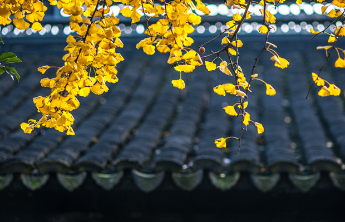 人间|给父亲理发