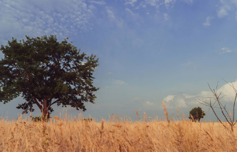 人间|温暖的小名