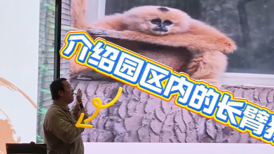 果然视频|动物视界（452）国际长臂猿日，科普进校园